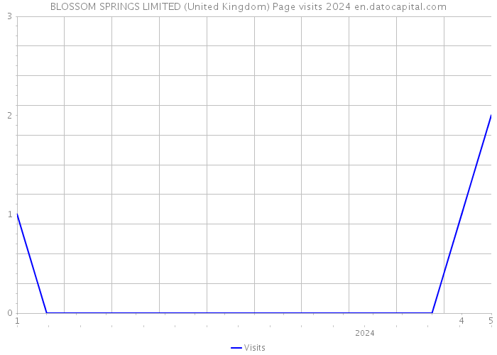 BLOSSOM SPRINGS LIMITED (United Kingdom) Page visits 2024 