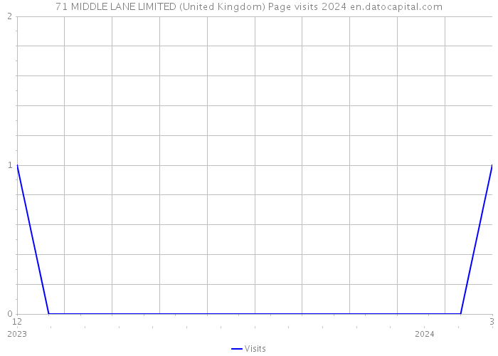 71 MIDDLE LANE LIMITED (United Kingdom) Page visits 2024 