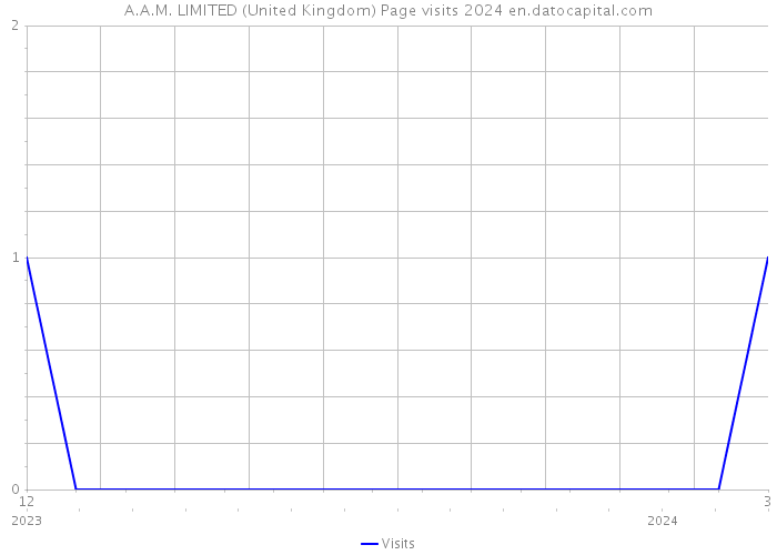 A.A.M. LIMITED (United Kingdom) Page visits 2024 