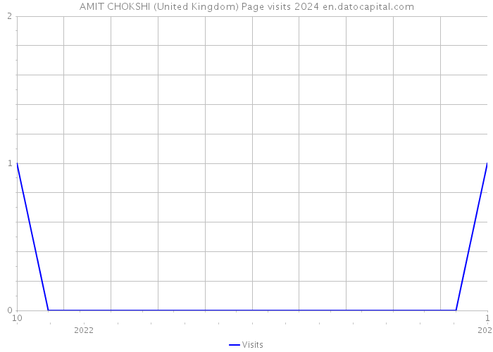 AMIT CHOKSHI (United Kingdom) Page visits 2024 