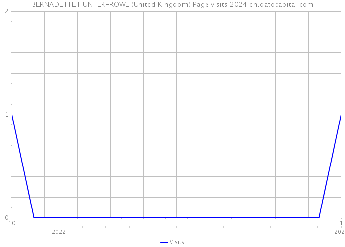 BERNADETTE HUNTER-ROWE (United Kingdom) Page visits 2024 