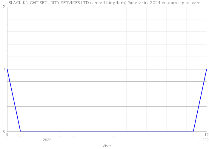 BLACK KNIGHT SECURITY SERVICES LTD (United Kingdom) Page visits 2024 