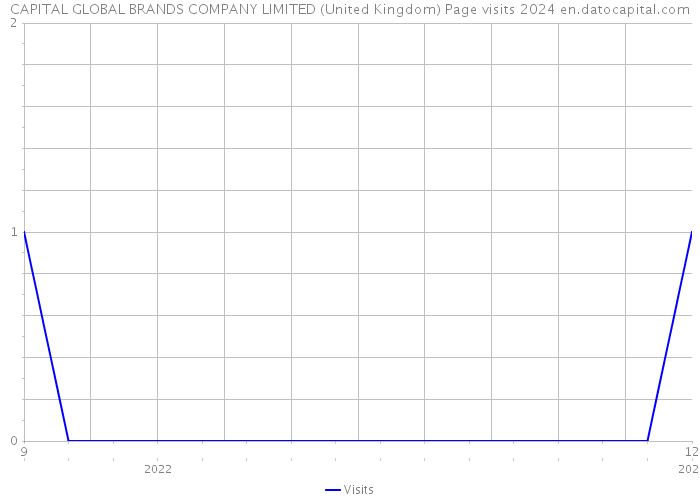 CAPITAL GLOBAL BRANDS COMPANY LIMITED (United Kingdom) Page visits 2024 