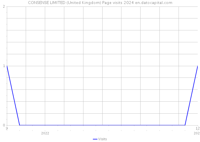 CONSENSE LIMITED (United Kingdom) Page visits 2024 