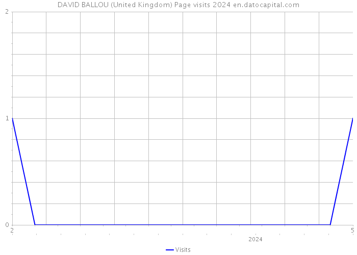 DAVID BALLOU (United Kingdom) Page visits 2024 