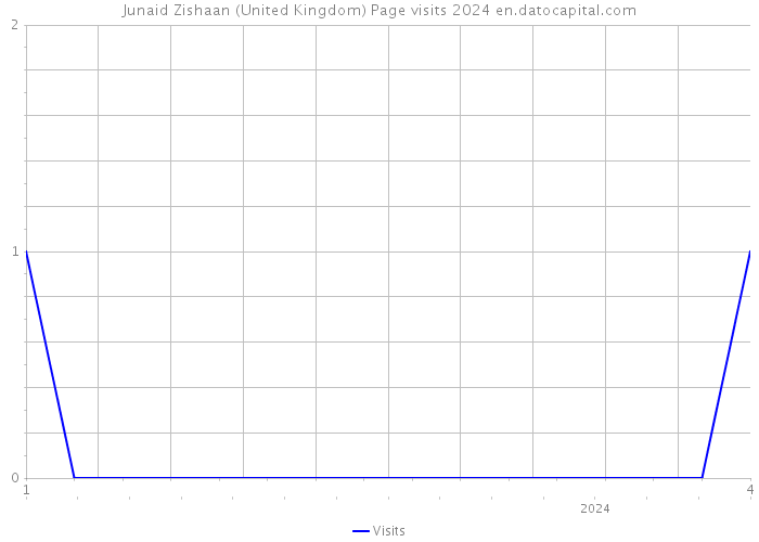 Junaid Zishaan (United Kingdom) Page visits 2024 
