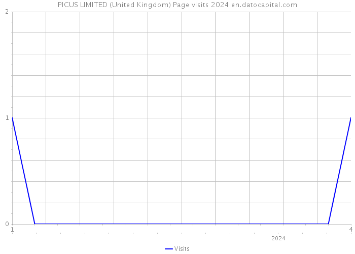PICUS LIMITED (United Kingdom) Page visits 2024 
