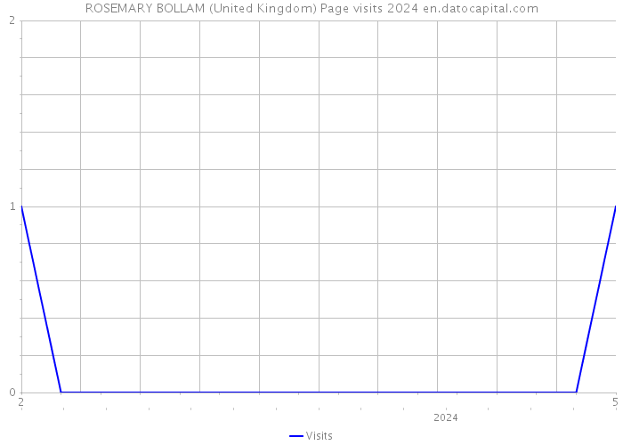 ROSEMARY BOLLAM (United Kingdom) Page visits 2024 