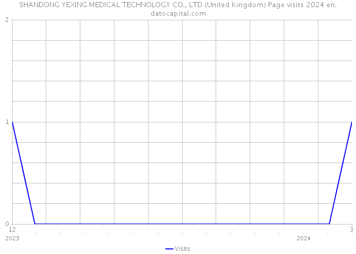 SHANDONG YEXING MEDICAL TECHNOLOGY CO., LTD (United Kingdom) Page visits 2024 