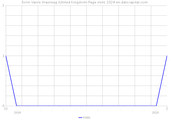 Sorin Vasile Vrasneag (United Kingdom) Page visits 2024 