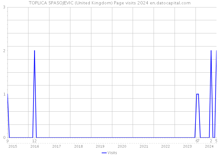 TOPLICA SPASOJEVIC (United Kingdom) Page visits 2024 