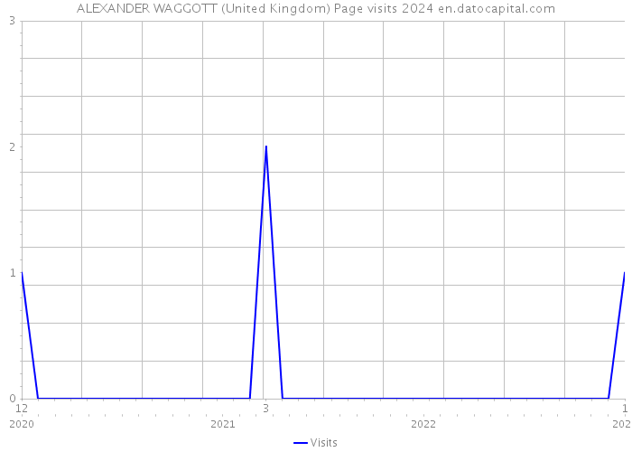 ALEXANDER WAGGOTT (United Kingdom) Page visits 2024 