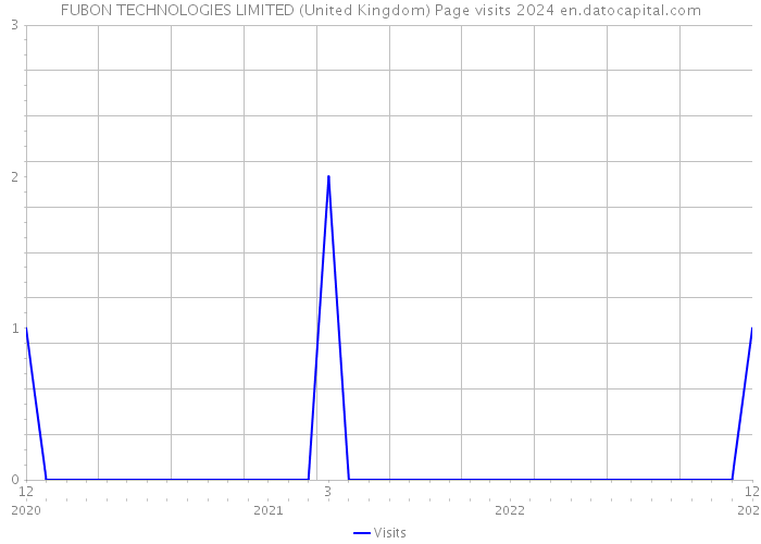 FUBON TECHNOLOGIES LIMITED (United Kingdom) Page visits 2024 
