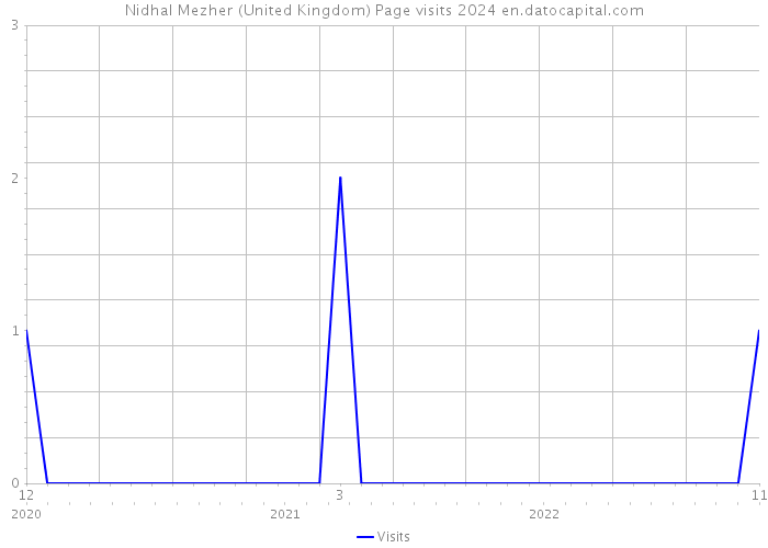 Nidhal Mezher (United Kingdom) Page visits 2024 