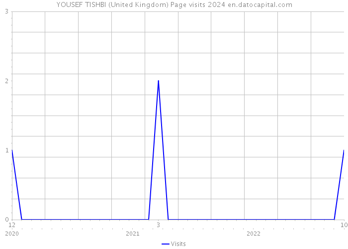 YOUSEF TISHBI (United Kingdom) Page visits 2024 