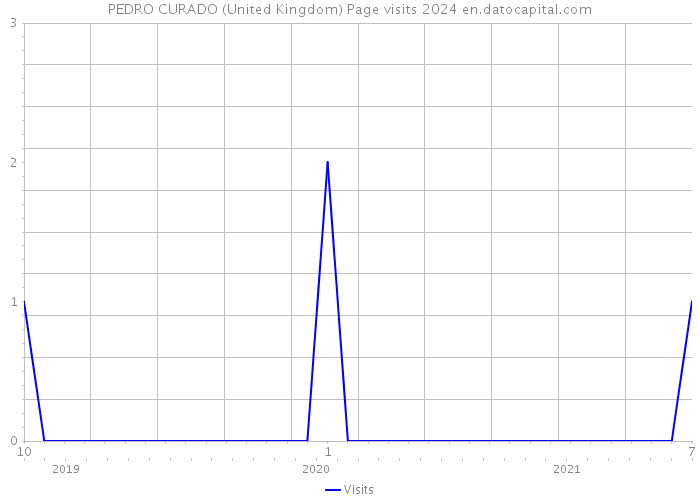 PEDRO CURADO (United Kingdom) Page visits 2024 