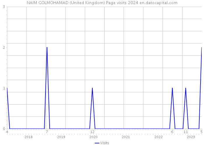 NAIM GOLMOHAMAD (United Kingdom) Page visits 2024 