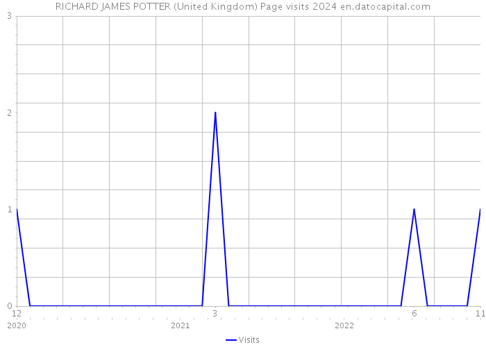 RICHARD JAMES POTTER (United Kingdom) Page visits 2024 