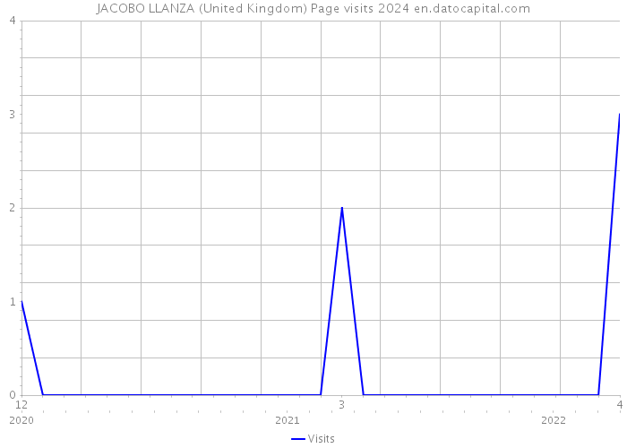 JACOBO LLANZA (United Kingdom) Page visits 2024 