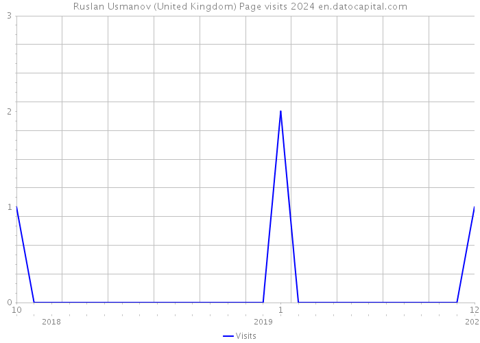 Ruslan Usmanov (United Kingdom) Page visits 2024 