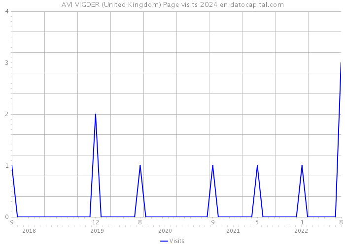 AVI VIGDER (United Kingdom) Page visits 2024 
