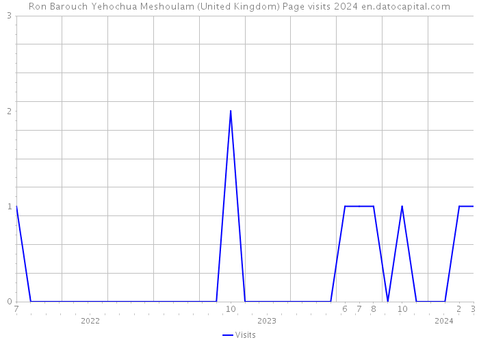 Ron Barouch Yehochua Meshoulam (United Kingdom) Page visits 2024 