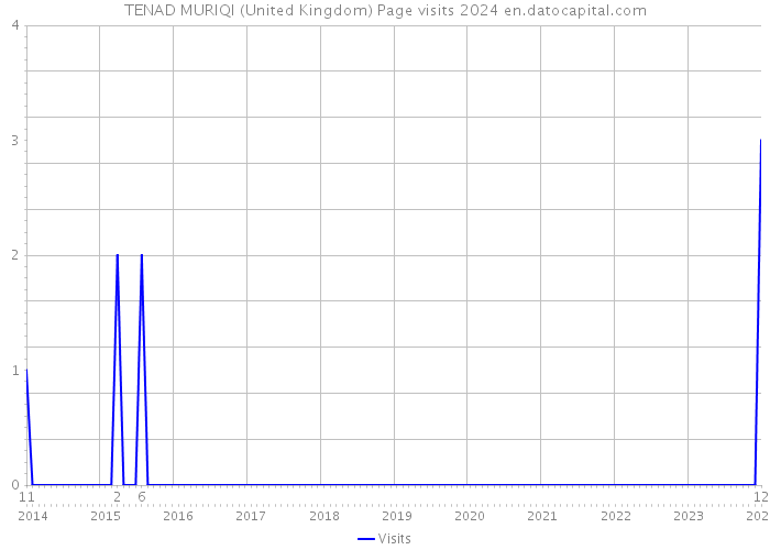TENAD MURIQI (United Kingdom) Page visits 2024 