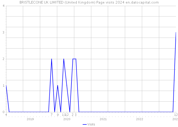 BRISTLECONE UK LIMITED (United Kingdom) Page visits 2024 