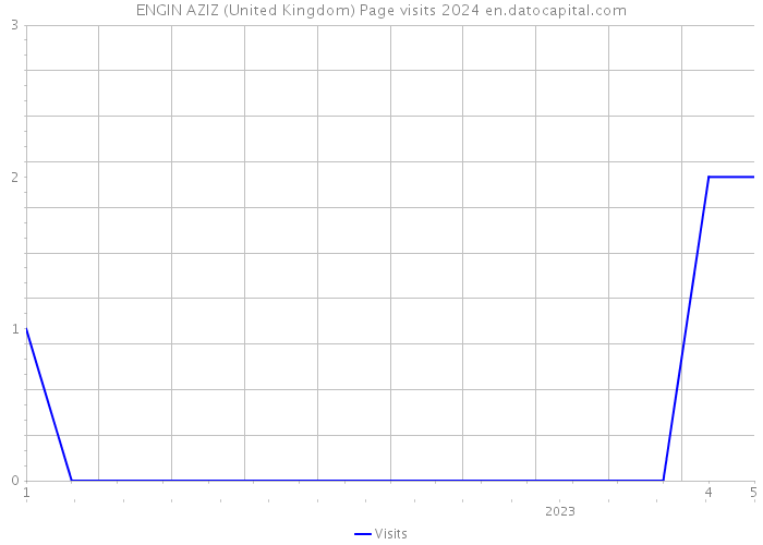 ENGIN AZIZ (United Kingdom) Page visits 2024 