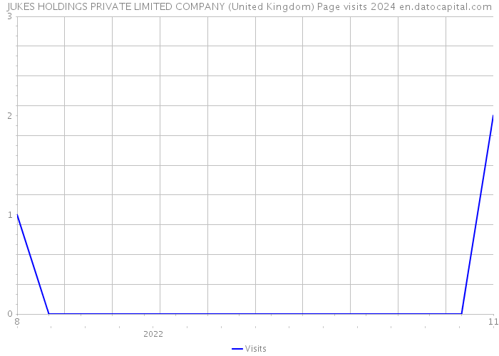 JUKES HOLDINGS PRIVATE LIMITED COMPANY (United Kingdom) Page visits 2024 