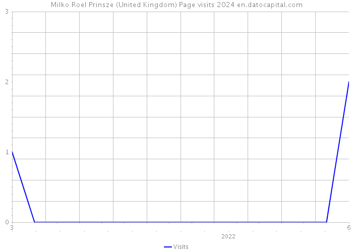 Milko Roel Prinsze (United Kingdom) Page visits 2024 