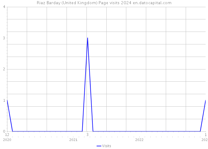 Riaz Barday (United Kingdom) Page visits 2024 