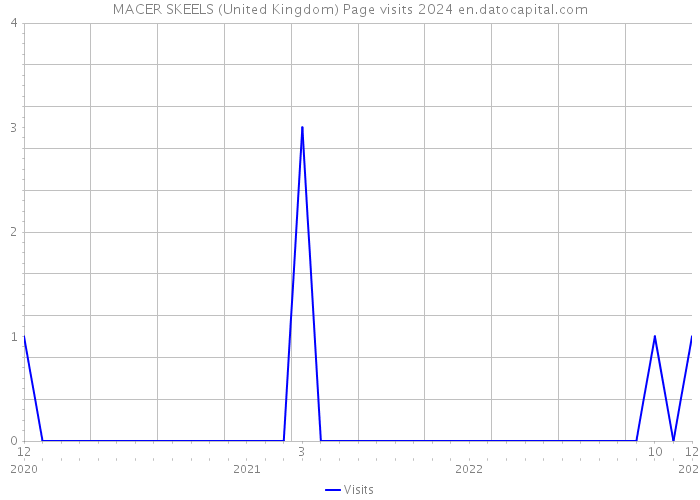 MACER SKEELS (United Kingdom) Page visits 2024 