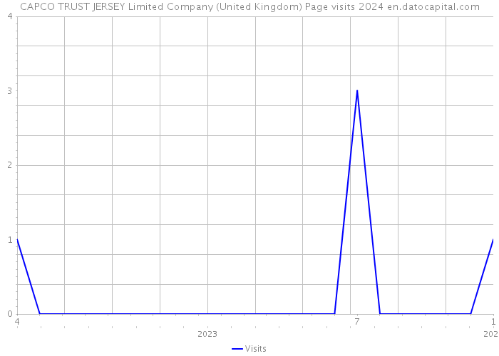 CAPCO TRUST JERSEY Limited Company (United Kingdom) Page visits 2024 