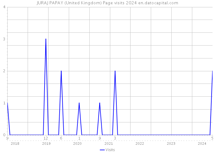 JURAJ PAPAY (United Kingdom) Page visits 2024 
