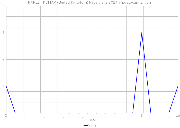 NARESH KUMAR (United Kingdom) Page visits 2024 