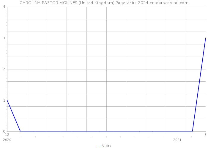 CAROLINA PASTOR MOLINES (United Kingdom) Page visits 2024 