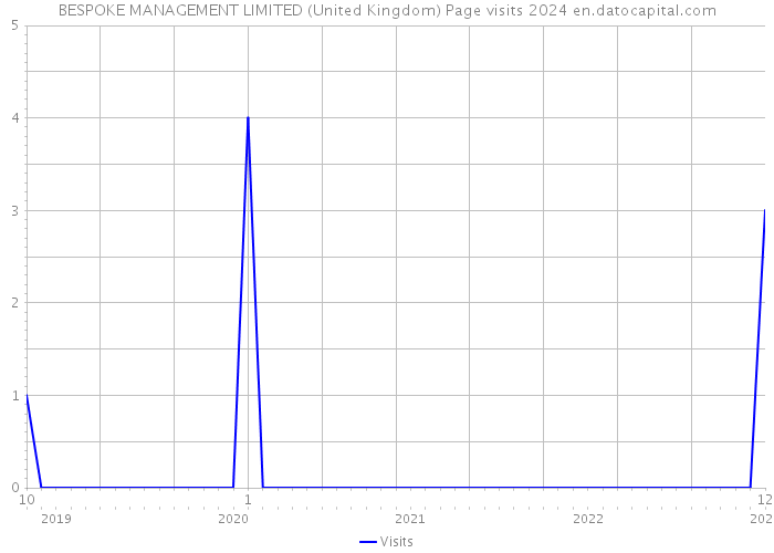 BESPOKE MANAGEMENT LIMITED (United Kingdom) Page visits 2024 