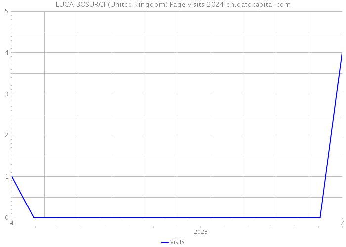LUCA BOSURGI (United Kingdom) Page visits 2024 