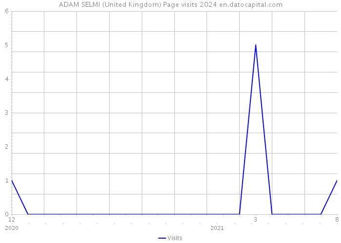 ADAM SELMI (United Kingdom) Page visits 2024 