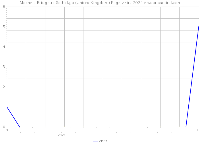 Machela Bridgette Sathekga (United Kingdom) Page visits 2024 