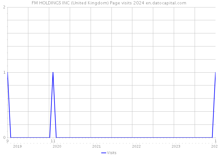 FM HOLDINGS INC (United Kingdom) Page visits 2024 