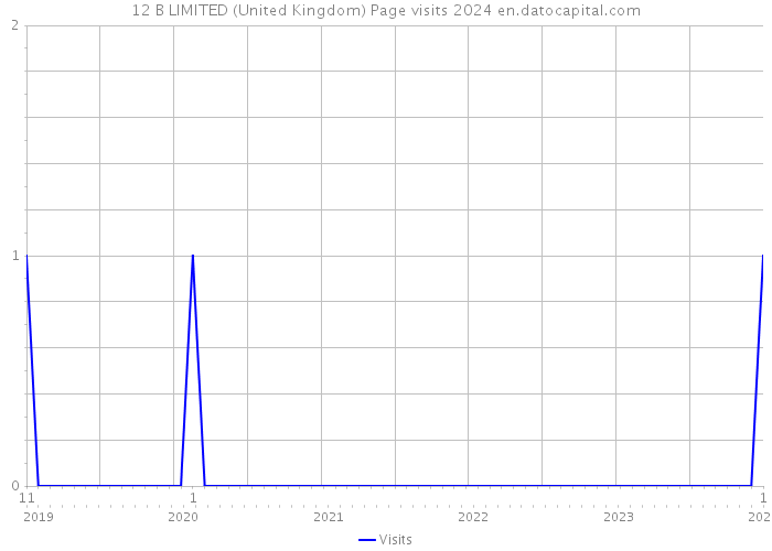 12 B LIMITED (United Kingdom) Page visits 2024 