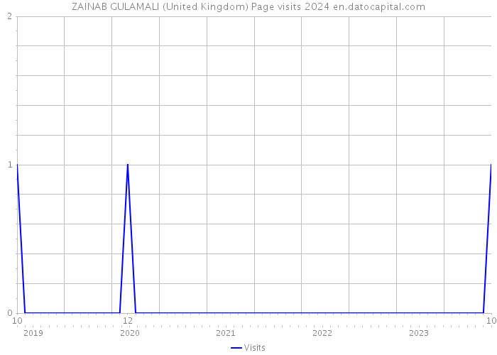 ZAINAB GULAMALI (United Kingdom) Page visits 2024 