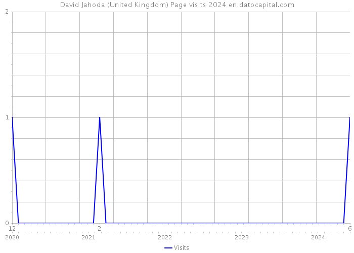 David Jahoda (United Kingdom) Page visits 2024 
