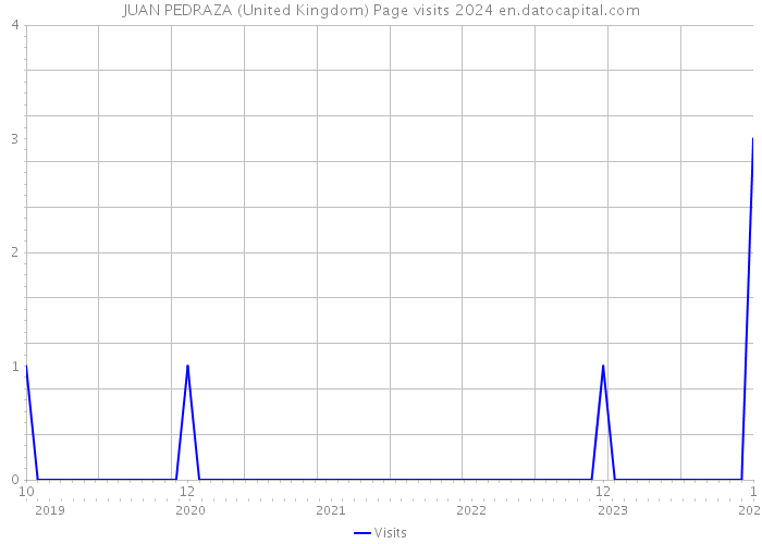 JUAN PEDRAZA (United Kingdom) Page visits 2024 