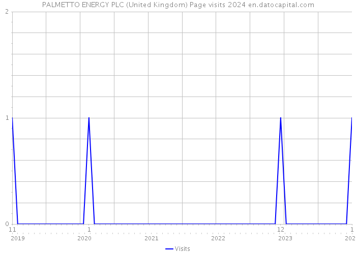 PALMETTO ENERGY PLC (United Kingdom) Page visits 2024 