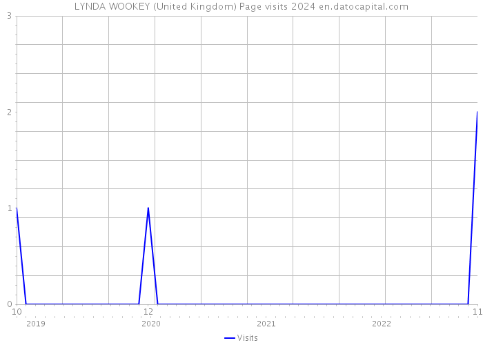 LYNDA WOOKEY (United Kingdom) Page visits 2024 