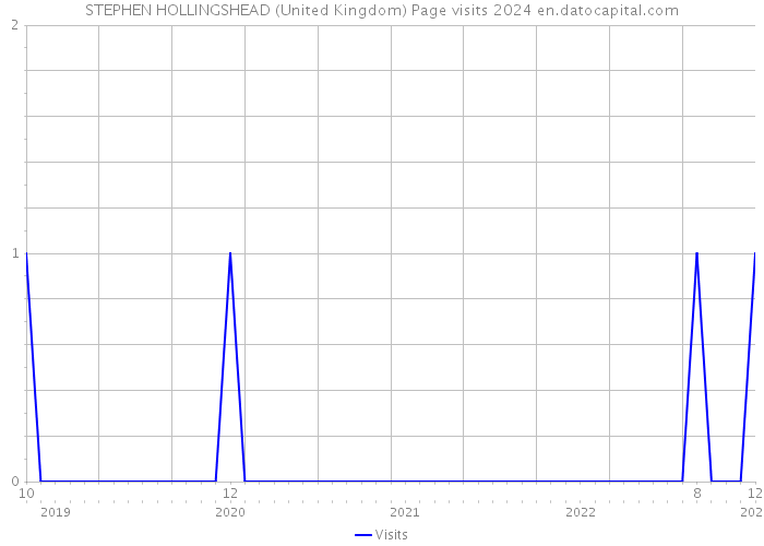 STEPHEN HOLLINGSHEAD (United Kingdom) Page visits 2024 