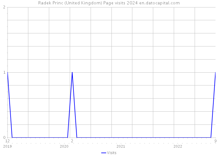 Radek Princ (United Kingdom) Page visits 2024 